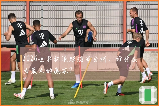2026世界杯滚球赔率分析，谁将成为最大的赢家？