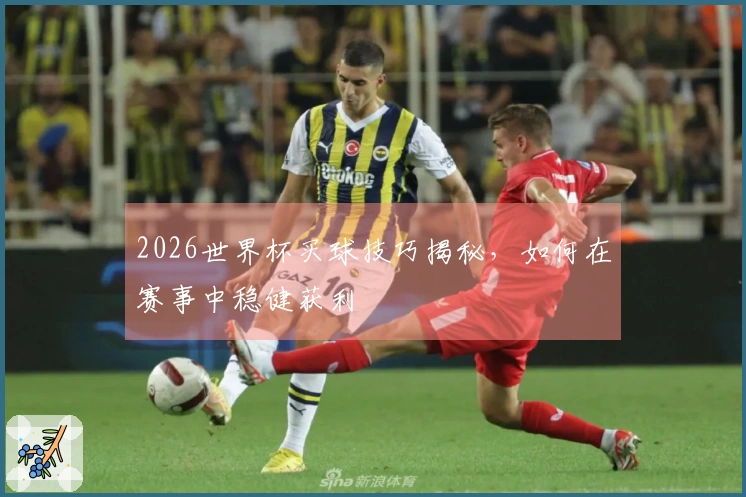 2026世界杯买球技巧揭秘，如何在赛事中稳健获利