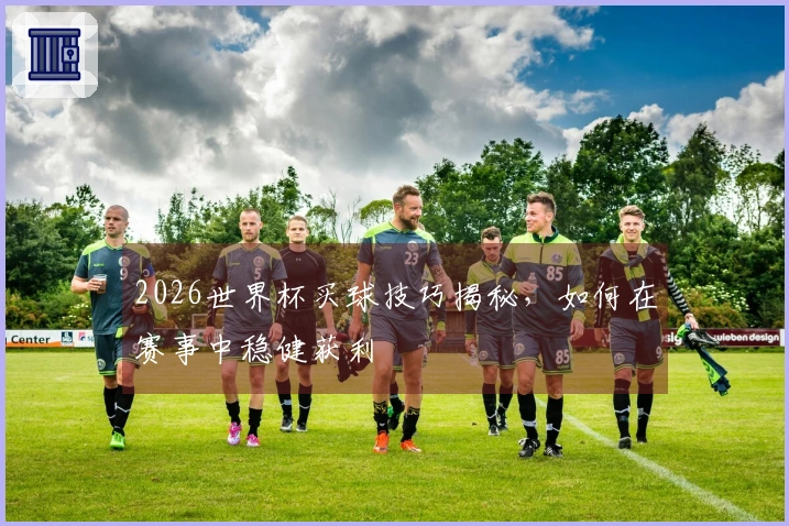 2026世界杯买球技巧揭秘，如何在赛事中稳健获利