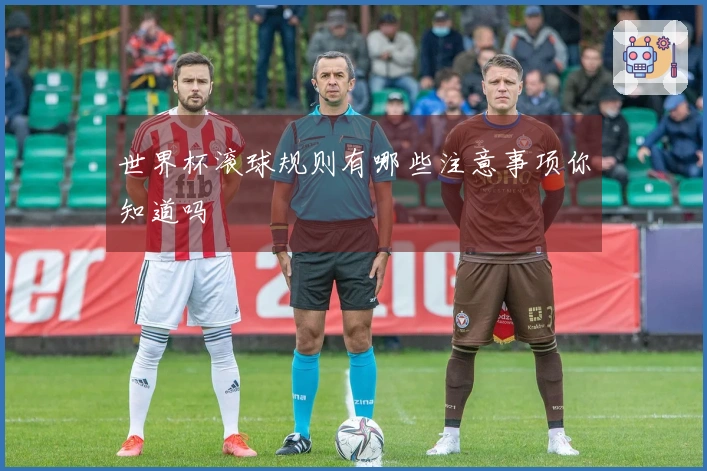 世界杯滚球规则有哪些注意事项你知道吗