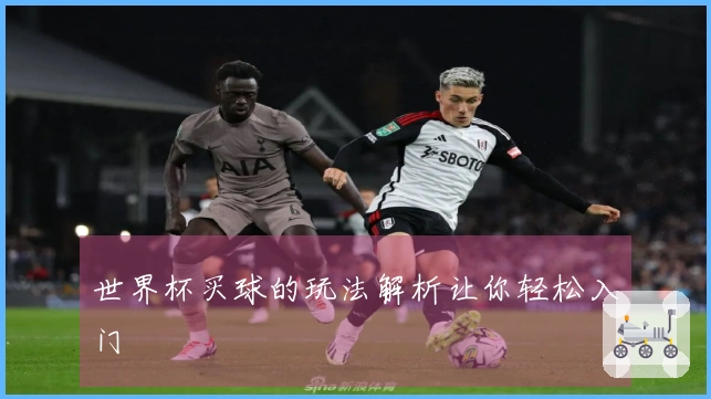 世界杯买球的玩法解析让你轻松入门