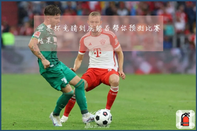 世界杯竞猜到底能否帮你预测比赛结果