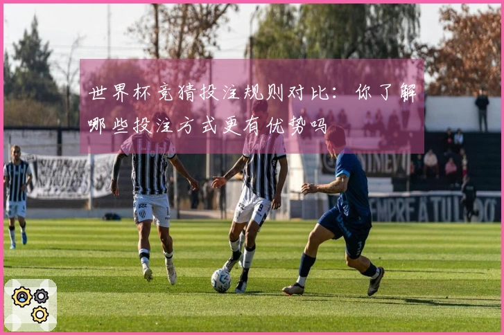 世界杯竞猜投注规则对比：你了解哪些投注方式更有优势吗