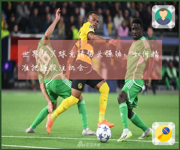 世界杯买球竞猜势头强劲，如何精准把握投注机会