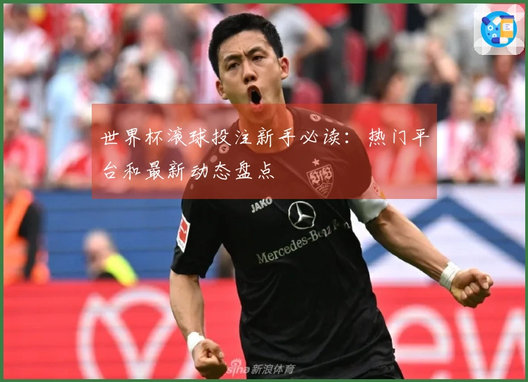 世界杯滚球投注新手必读：热门平台和最新动态盘点